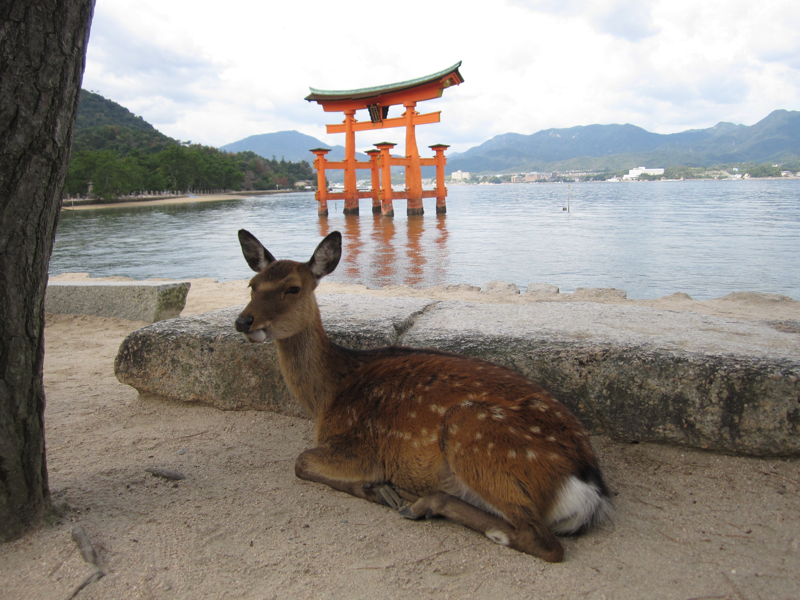 広島でお待ちしております