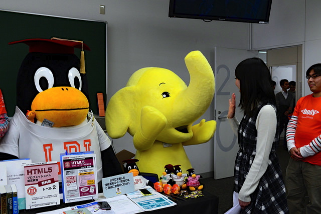 展示の様子